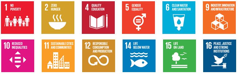 SDG integrated