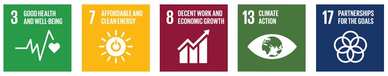 SDG priorities